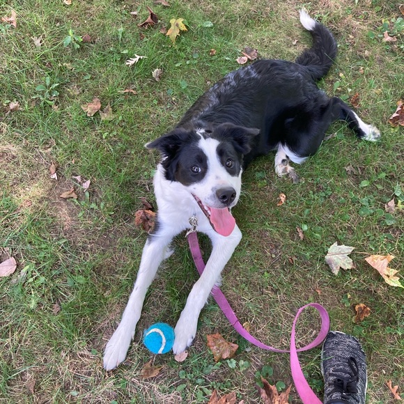 Meet your Posher, Lauren - Picture 10 of 12